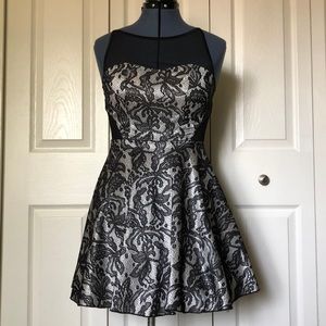 Emerald Sundae Black Lace Skater Dress